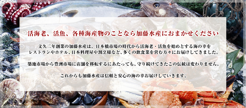 活海老、活魚、各種海産物のことなら加藤水産におまかせください